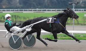 68° Gran Premio Lotteria. Vince Timone Ek il Varenne di Boscotrecase 1 Timone EK