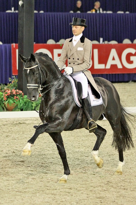 Best of dressage genes for Edward Gal 1 Totilas wikipedia Edward Gal