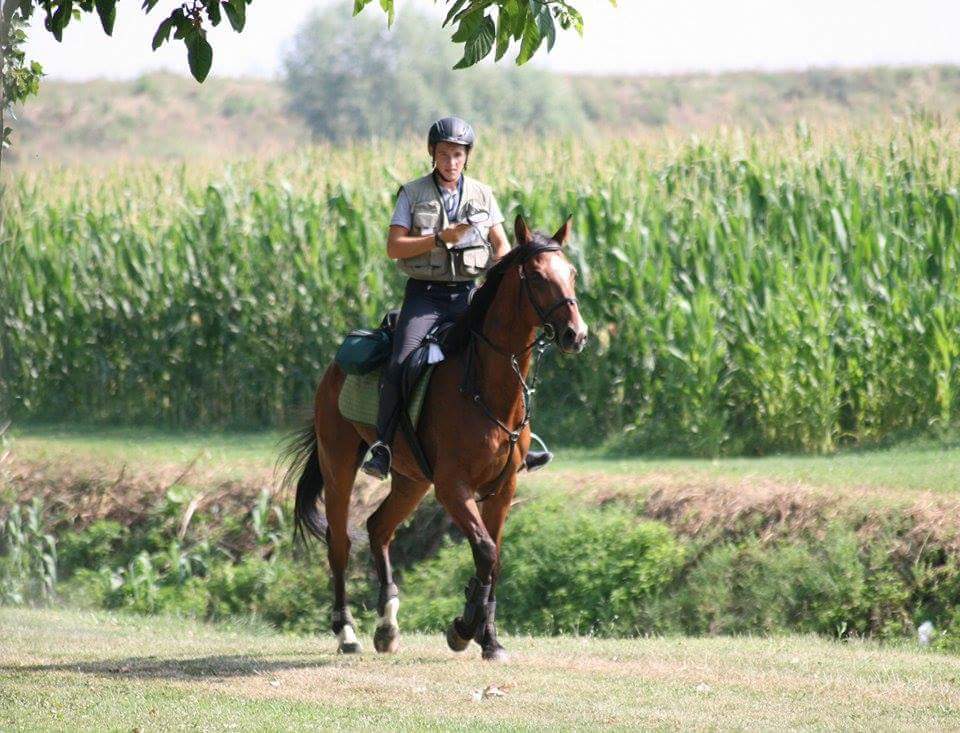 TREC: al via il Campionato Europeo dedicato agli Young Riders 1 Trec 1