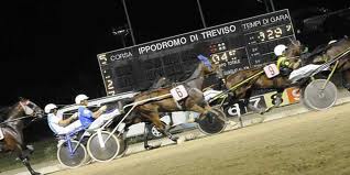 Al S.Artemio previste scintille nel Città di Treviso. Looney Tunes all'attacco. 1 Treviso