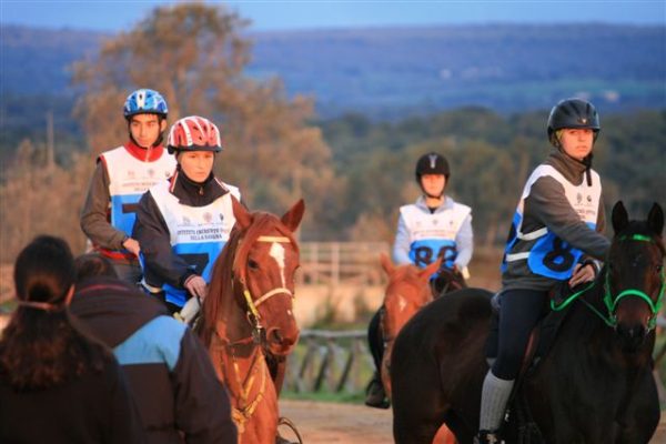 Trodeo UNIRE ad Abbasanta 010IMG 1800 1
