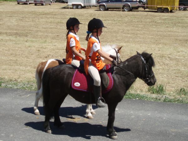 Trofeo avv endurance pony 2011