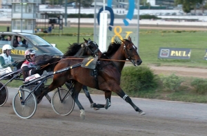 Trotto 20