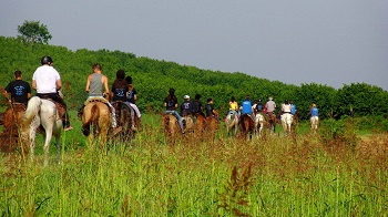 Turismo equestre Fitetrec Ante 2016
