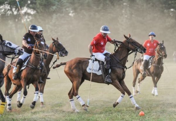 Umbria Polo