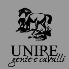 Endurance: al Trofeo UNIRE oltre 100 partenti 1 Unire 3