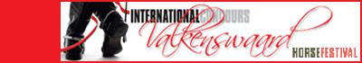 Valkensvard 4