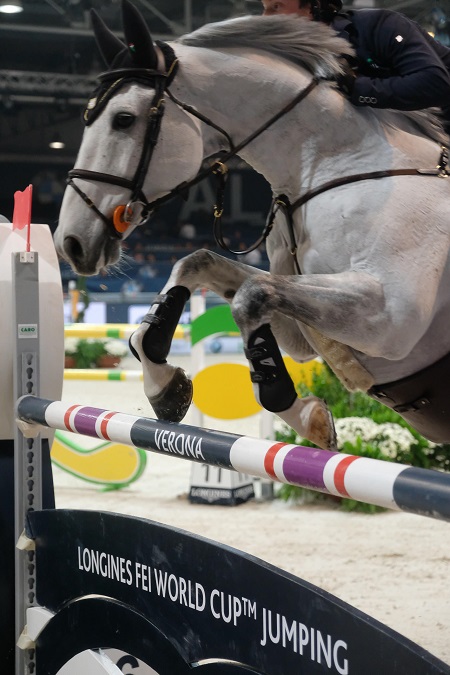 120 binomi in gara per celebrare i 120 anni di Fieracavalli 1 Verona 2018
