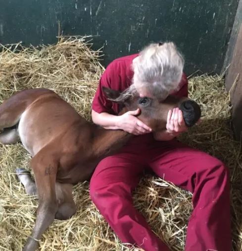 Vet. Carlotta Carminiti e puledro