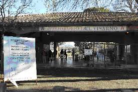 Visarno. Nel 77° Gran Premio Etruria chi farà il rubacuor ? 5 Visarno