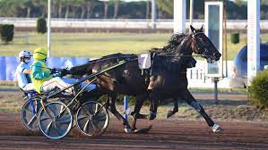 Elitloppet 2022. Anche l'Italia nella magica corsa svedese. 1 Vivid Wise As 0