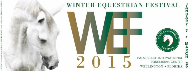 CSIO4* Wellington: Nations Cup scheduled today. 1 WEF 2