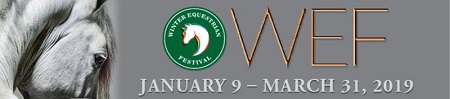 WEF2019