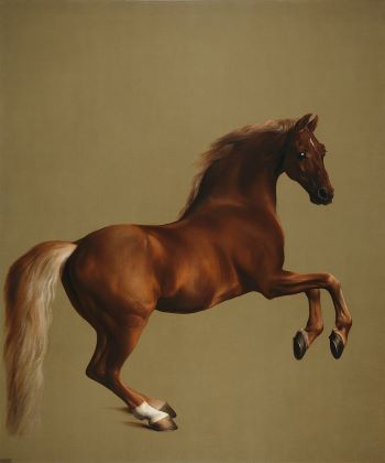 Whistlejacket: lo stallone della National Gallery 5 Whistlejacket by George Stubbs
