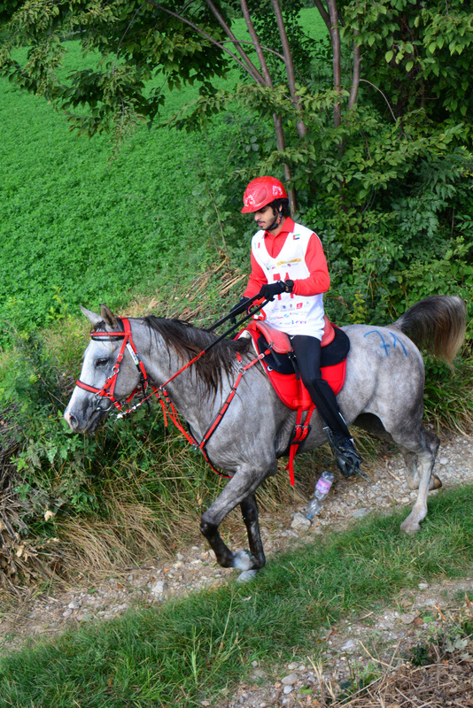 Endurance World Cup in Valeggio, Italy. 1 Winner 2