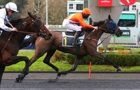 Zarenne Fas 1