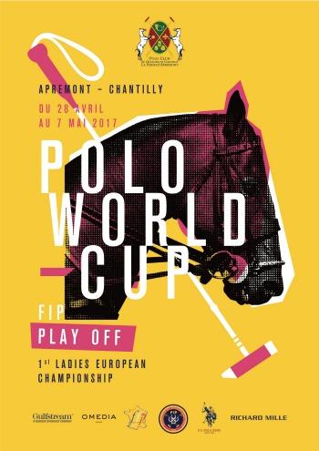 affiche polo 3d copie 1