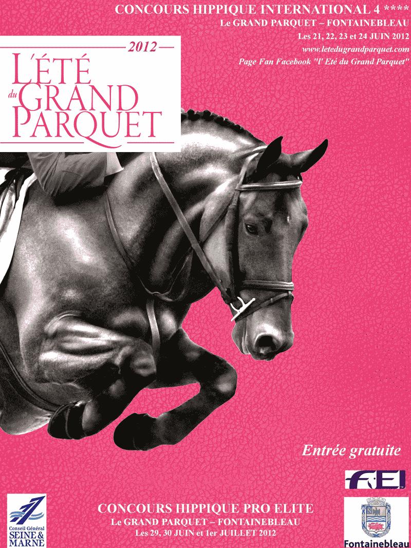 CSI4*/CSI2*/CSIAm/CSIYH1: oggi a Fontainebleau Fiorelli e Moneta impegnati nel Grand Prix Tropicana 1 affiche 0