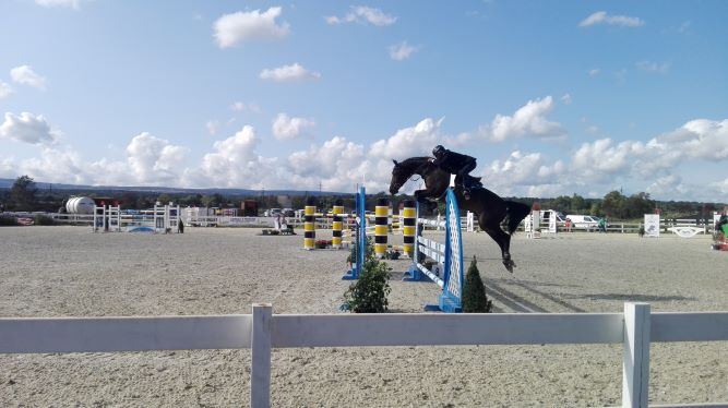Gran finale a Tanca Regia: sabato il salto in libertà del 58° Premio Regionale Sardo di allevamento 1 andrea guspini 2020. 0