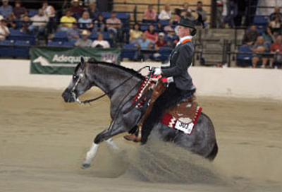 REINING: Anky Van Grunsven campionessa del mondo di Dressage, ci prova anche nel Reining 1 anky van grunsven