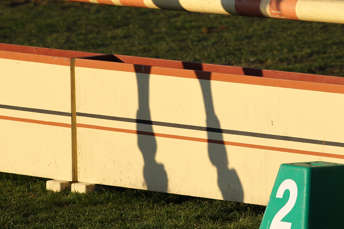 Arezzo Equestrian Centre: Turkey and Romania win in the fourth week of the Tuscany Tour 1 arezzo varia 1