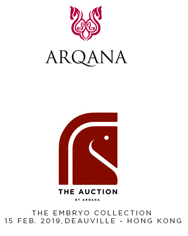 arqana atto II