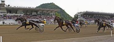 arrivo Lotteria
