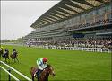 Ask contro tutti ad Ascot nel King George. 1 ascot 2