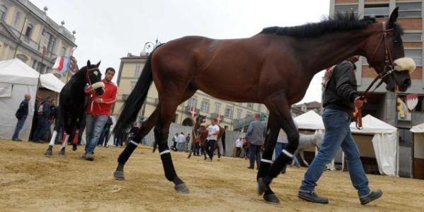 asti