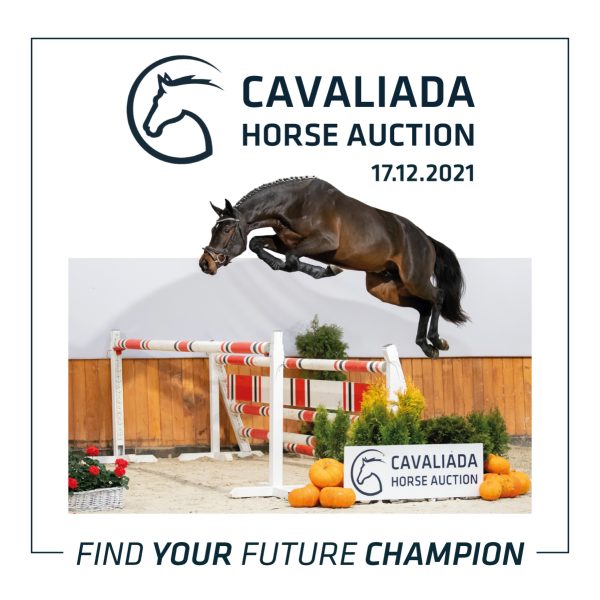 Star-studded collection at CAVALIADA Horse Auction 2021 5 aukcja banery 1200x1200