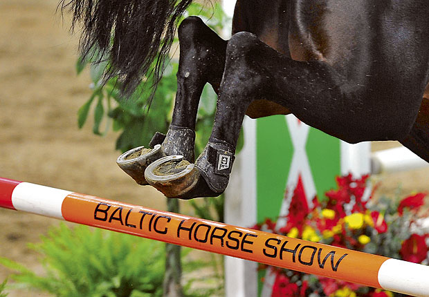 Germania, appuntamento top per gli appassionati dello studbook Holsteiner al Baltic Horse Show di Kiel 1 baltic