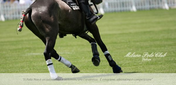 banner Milano Polo Cup