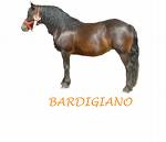 bardigiano