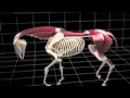 bio