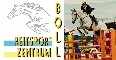CSI**: Equestrian Centre di Boll. 5º e 6º posto per Pedrocco nella categoria da 1,25m dell'Amateur Tour 1 boll
