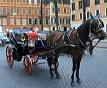 Al bando carrozze e cavalli su via Veneto e le strade e in salita: troppo faticose 1 botticelle 3