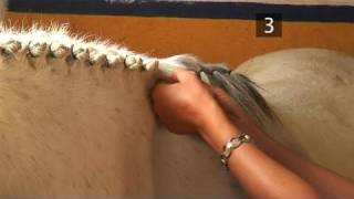 braid