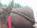 braid 0