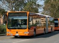 bus a san rossore