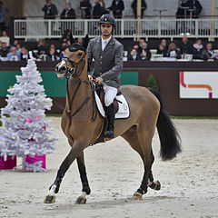 cadjanine z