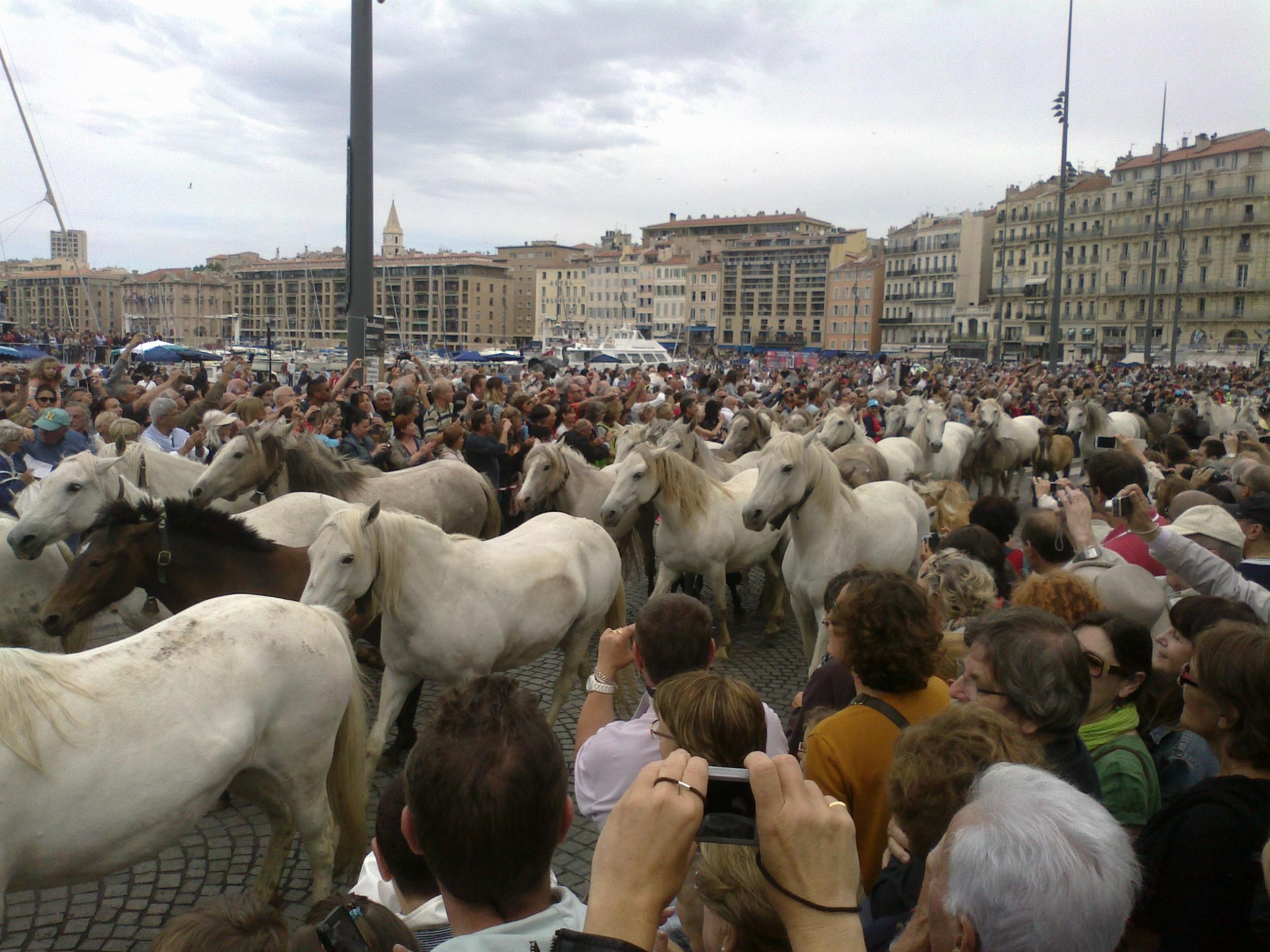I butteri di Maremma sfilano in corteo a Marsiglia 1 camargue scaled