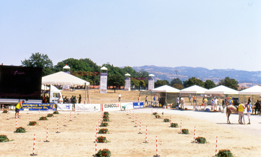 cancello vet endurance