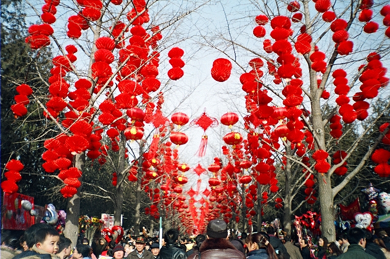 Events: year of the horse in China 1 capodanno 1
