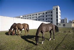 carcere di bollate 1