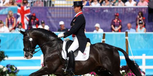 CDI 3* Jerez de la Frontera : vince Carl Hester 1 carl hester