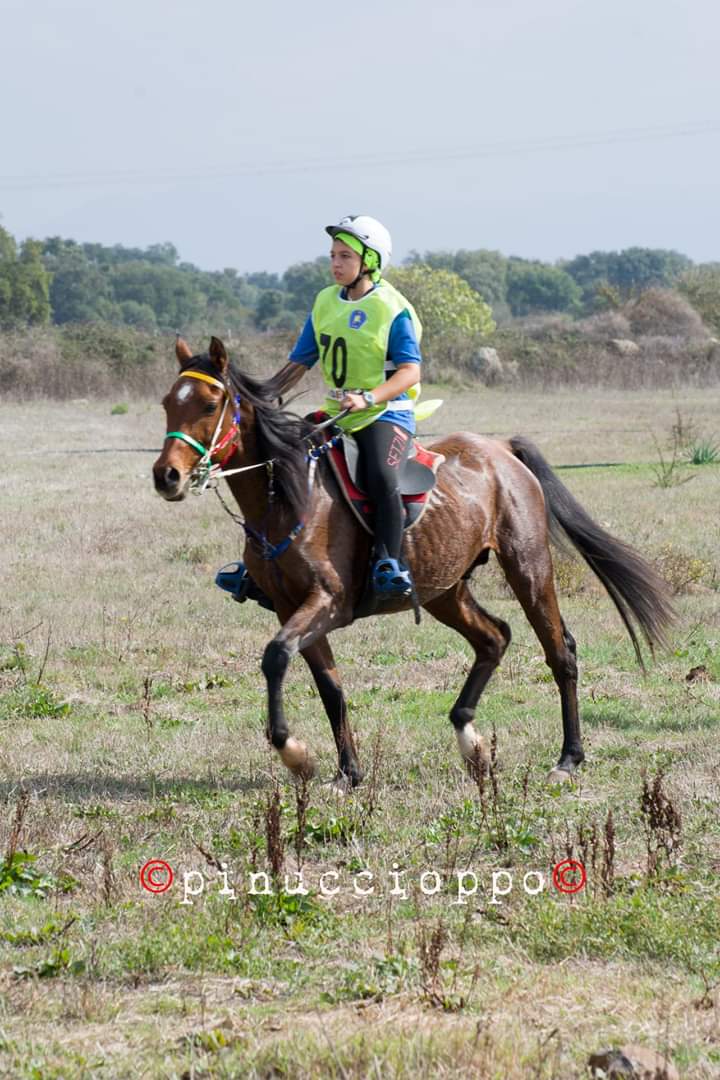 Ecco i nuovi Campioni Sardi di Endurance: Carlo Carta, Maria Letizia Orecchioni e nella Debuttanti Giulia Delinna 1 carlo mulas endurance