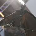 casall 0