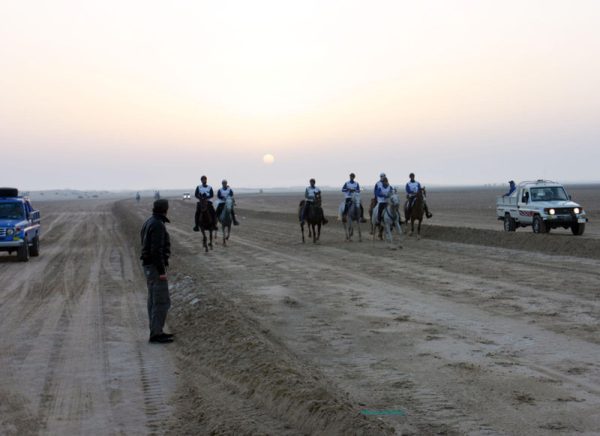 cavalieri deserto alba