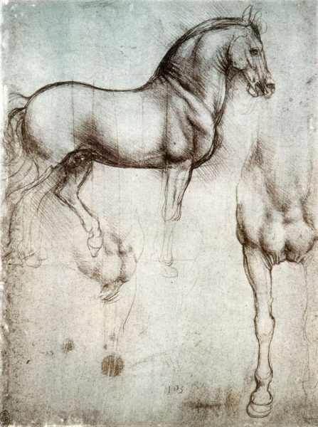 I disegni di Leonardo da Vinci: studi di cavalli 5 cavalli di leonardo