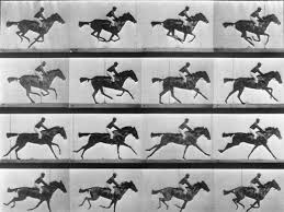 Degas e i cavalli: fotografia del galoppo di un cavallo